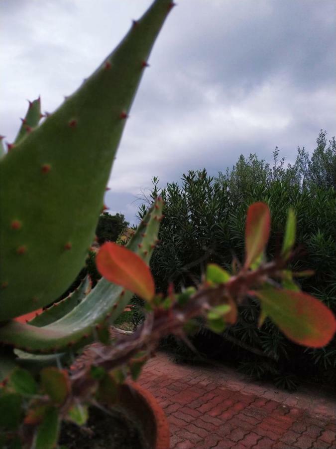Casa Vacanza Rosariomaria 레알몬테 외부 사진